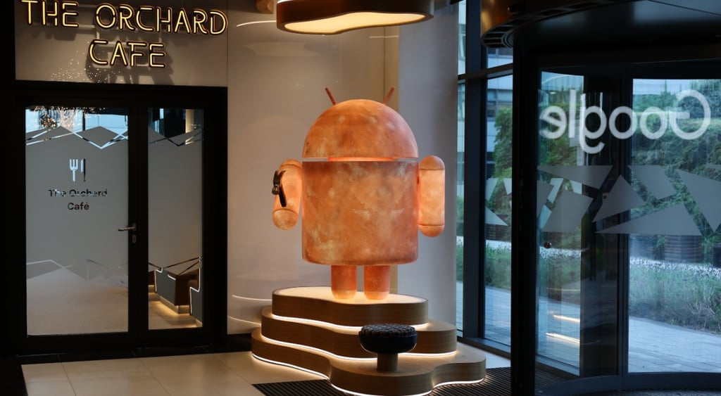 google sign n glass door, reception, pink stone android figure