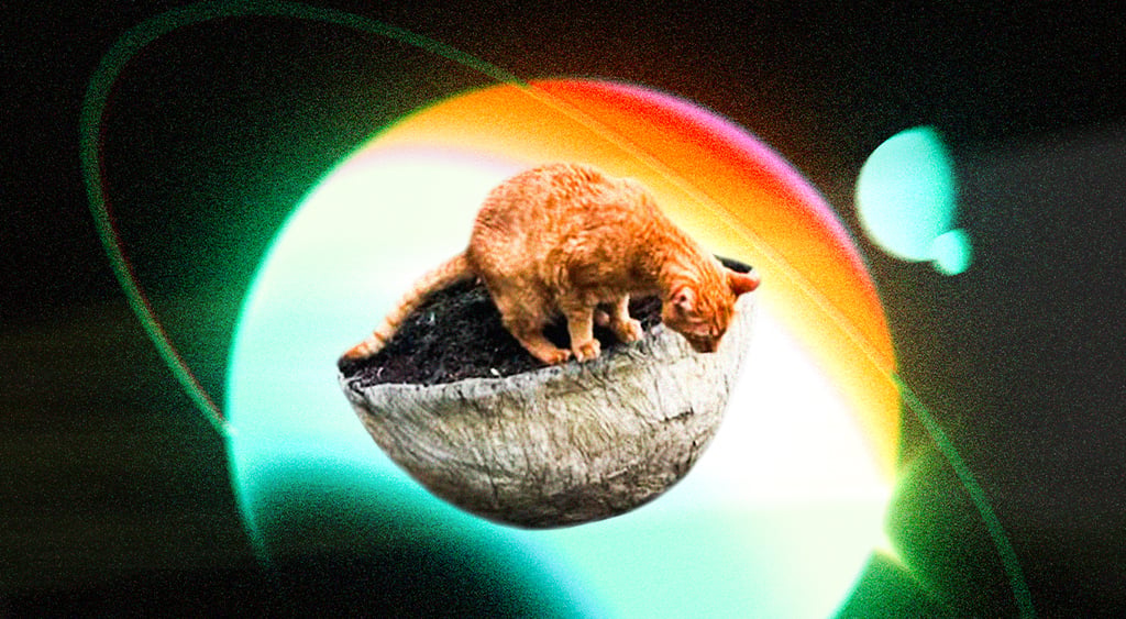 Lokis and the pot