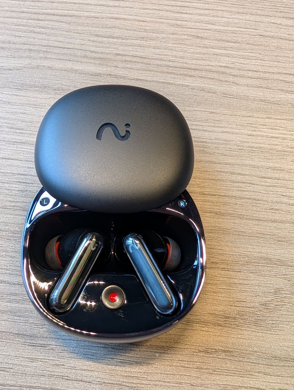 viaim recdot earphones and case