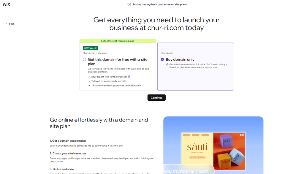 Wix plans for domains