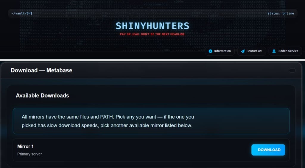 Metabase download link on ShinyHunters site