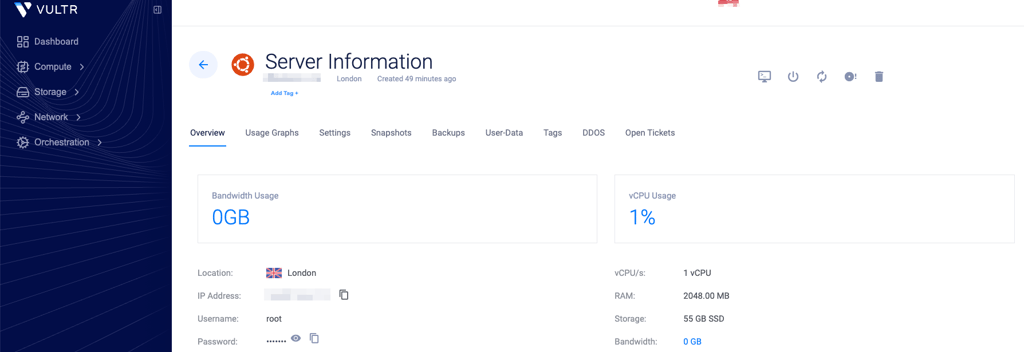 vultr orca vps