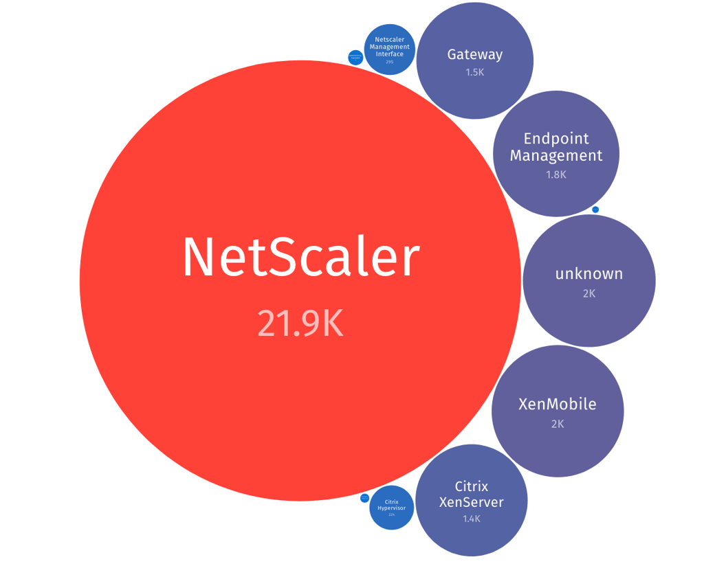 netscaler instances