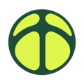 AnswerAI Logo