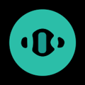 Echo Voice AI Logo
