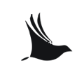 Findsight Logo