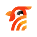 Lazybird Logo