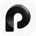 Paraspeech Logo