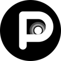 Pingg Logo