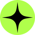 Raizer Logo