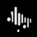 Sono Lyric Logo