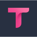 Transor Logo