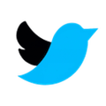 Tweeter Logo