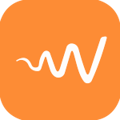 Valuer Logo