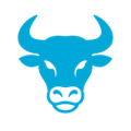 Vizbull Logo