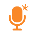 VoiSpark Logo