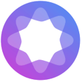 Wisdomise Logo