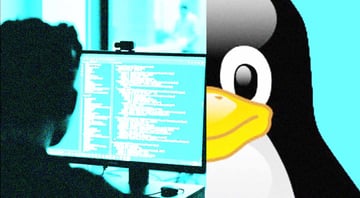 Captive User@linux Two new critical Linux kernel exploits put cloud at risk | Cybernews