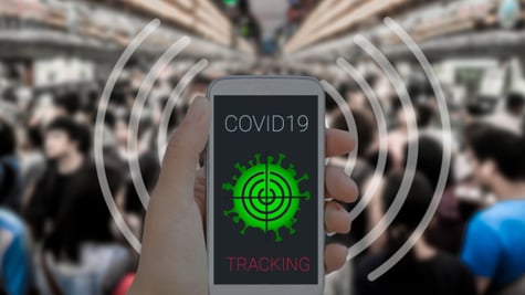 Coronavirus tracking application on phone screen