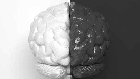 Black and white human brain divided in half into two parts in the middle.
