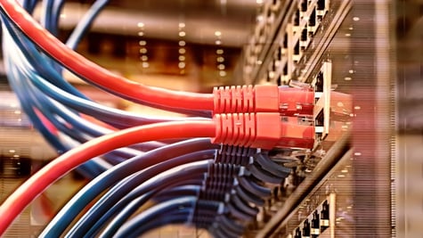 Server rack with blue and red internet patch cord cables connected to black patch panel in data serv