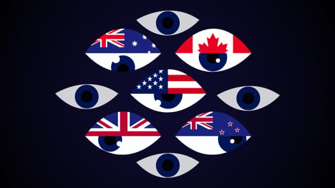 5 eyes 9 eyes 14 eyes