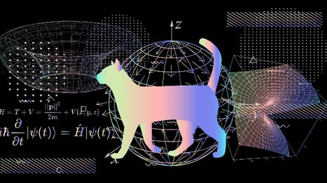 Schroedinger's cat