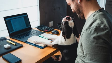 Freelancer man working from home with his dog sitting together in the office.
