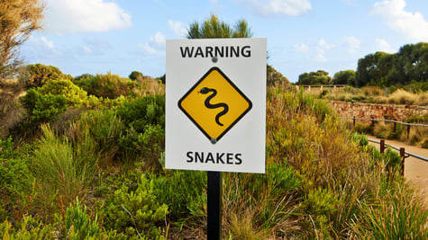 Warning snakes sign