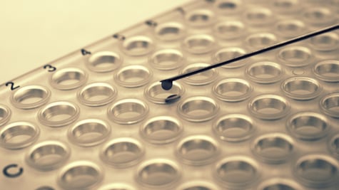 Plate with syringe needle and a drop of blood