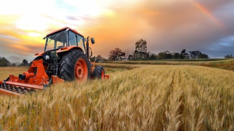 Tractor in the fields