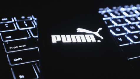 Puma-Kronos-Breach