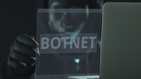 GUy in balaclava next to computer holding up sign that says BotNet