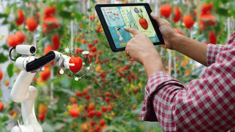 The future of food tech