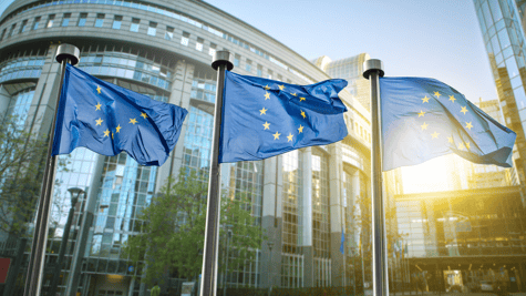 EU parliament