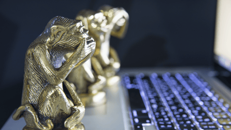 Three monkeys on a computer