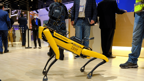 robot_dog