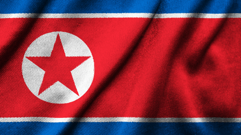 North Korean flag with tactile surface