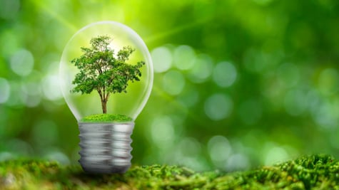 Smart plugs for light management and reduced energy