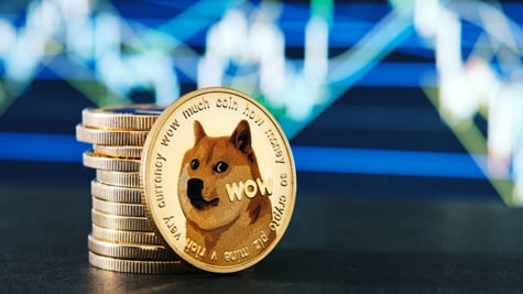 Dogecoin meme Doge coin