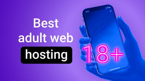Adult_web_hosting