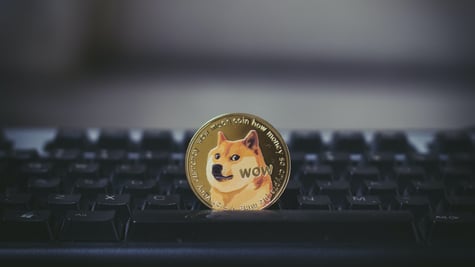 Doge pump and dump