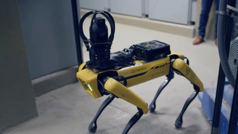 Robot factory dog on site