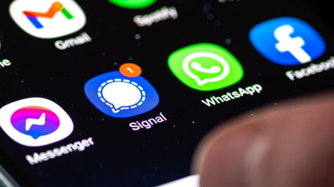 Signal WhatsApp