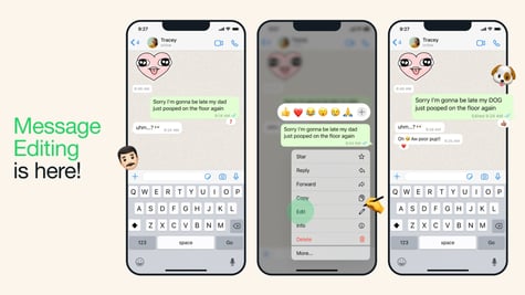 whatsapp_edit
