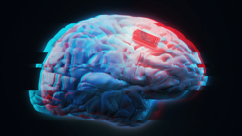 Brains