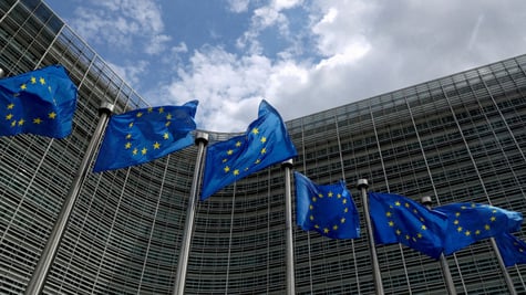 EU flags
