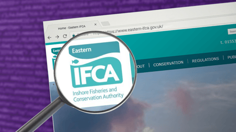 IFCA web flaw