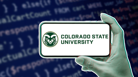 Colorado State University