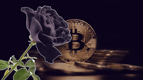 Black rose with a crypto coin